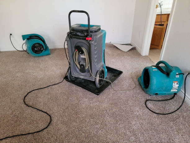 Best 24/7 water damage repair  in Lake City, FL