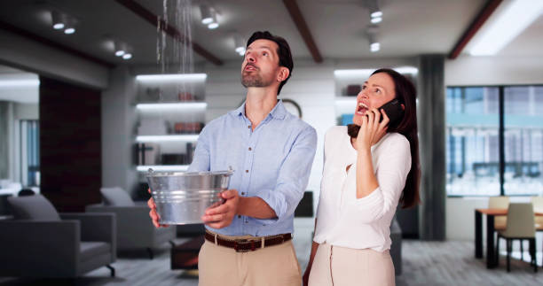 Best Flood damage cleanup  in Lake City, FL